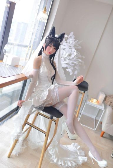 星辰视频高清免费看
