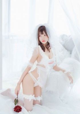 铁血丹心电视剧2024免费观看