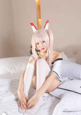 野花8
