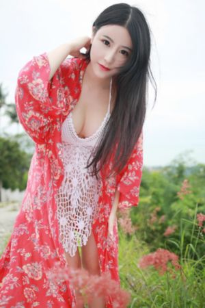 刘老根电视剧