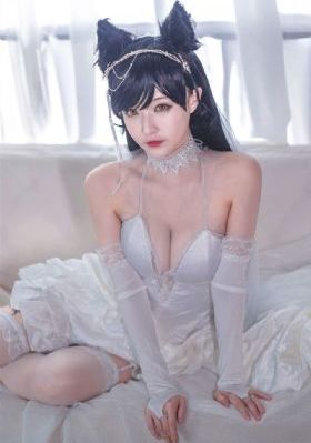 天蝎行动