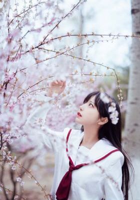 樱花在线视频